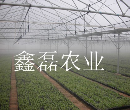 溫室噴灌系統(tǒng)