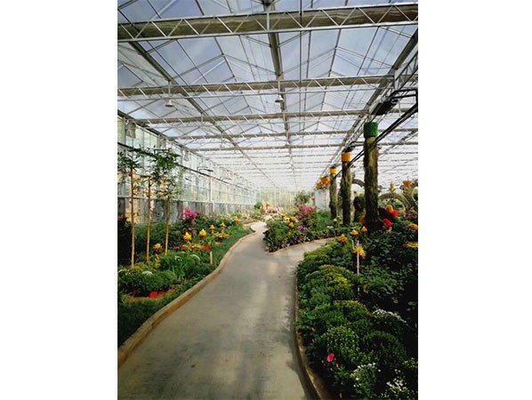 溫室規(guī)劃園區(qū)
